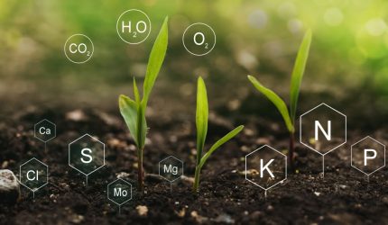 Chemical components in soil detected through an AI-powered dashboard developed by Aya Data